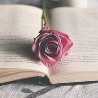 yournext_romanceread