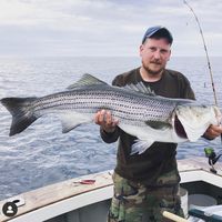 kampfish