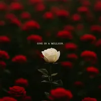 original sound - susyq169