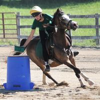 taya_mountedgames
