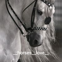 __horses__love__