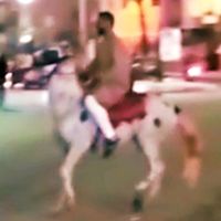 الصوت الأصلي