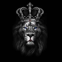 original sound - LG_LYRIC_14