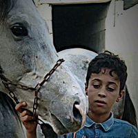 الصوت الأصلي