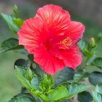 god_is_the_almighty_