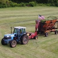 selbuort_valley_farm