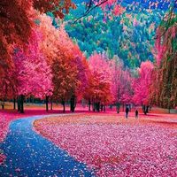 fahim12345_