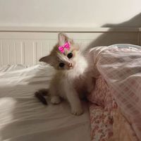 qwxxxxc