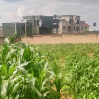 original sound - aimableniciterets