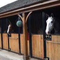 thestablegardener