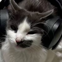 оригинальный звук