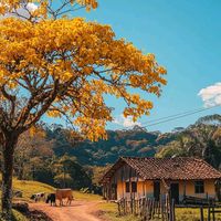 cantinho_na_roca_oficial