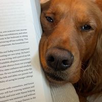 lulubooks11