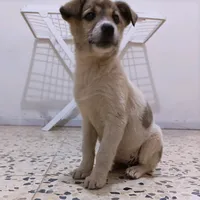 original sound - user77607157915602