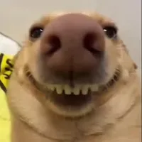 original sound - ttok.trend