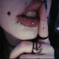 xx.digita1_gvnz.xx