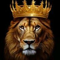 leo18846