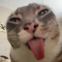 original sound - midix._.01