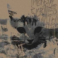 original sound - Lionz