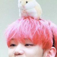 byeongkwanslilbabybear