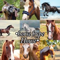 3questr1an.hype.house