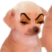 dayis.pusy