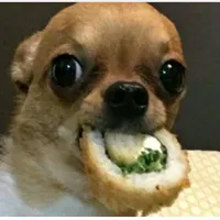 original sound - pantuflita2.0