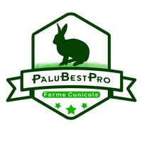 palubestpro