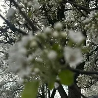 original sound - user6493739284