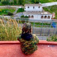 darou.fanka4