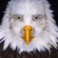 original sound - negros4ki