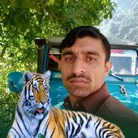 tanveerlon
