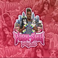 yorkshih_pupco