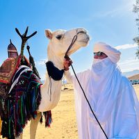 hassan.essa.seedi