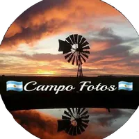 original sound - campofotossoficial