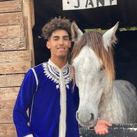 moradcavalier