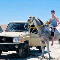 الصوت الأصلي