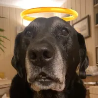 original sound - zawgandschlawg