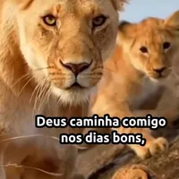 original sound - adorador_182511