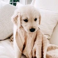 sad.happy_x.pretty