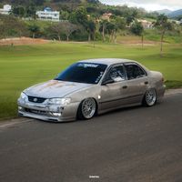 bagged_01