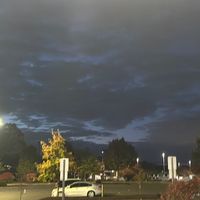 random_26098