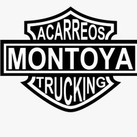 brandon_montoya7