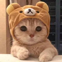 original sound - ogzeq