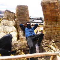 original sound - florenti_17