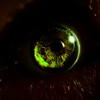 original sound - zkr_ms