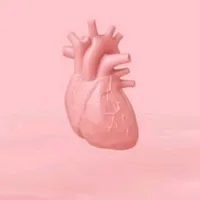 original sound - 1ccanciones