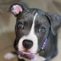 mila.bluee