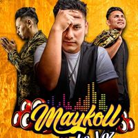 maykolllavoz