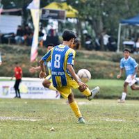 apipp018